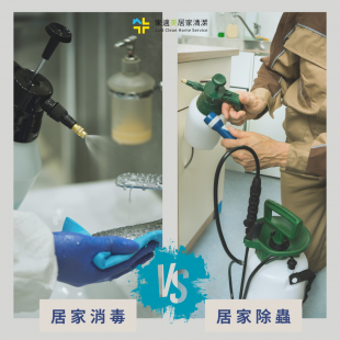 居家除蟲VS居家消毒 居家除蟲VS居家消毒